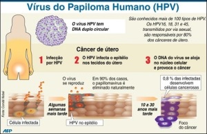 papiloma-vírus-hpv